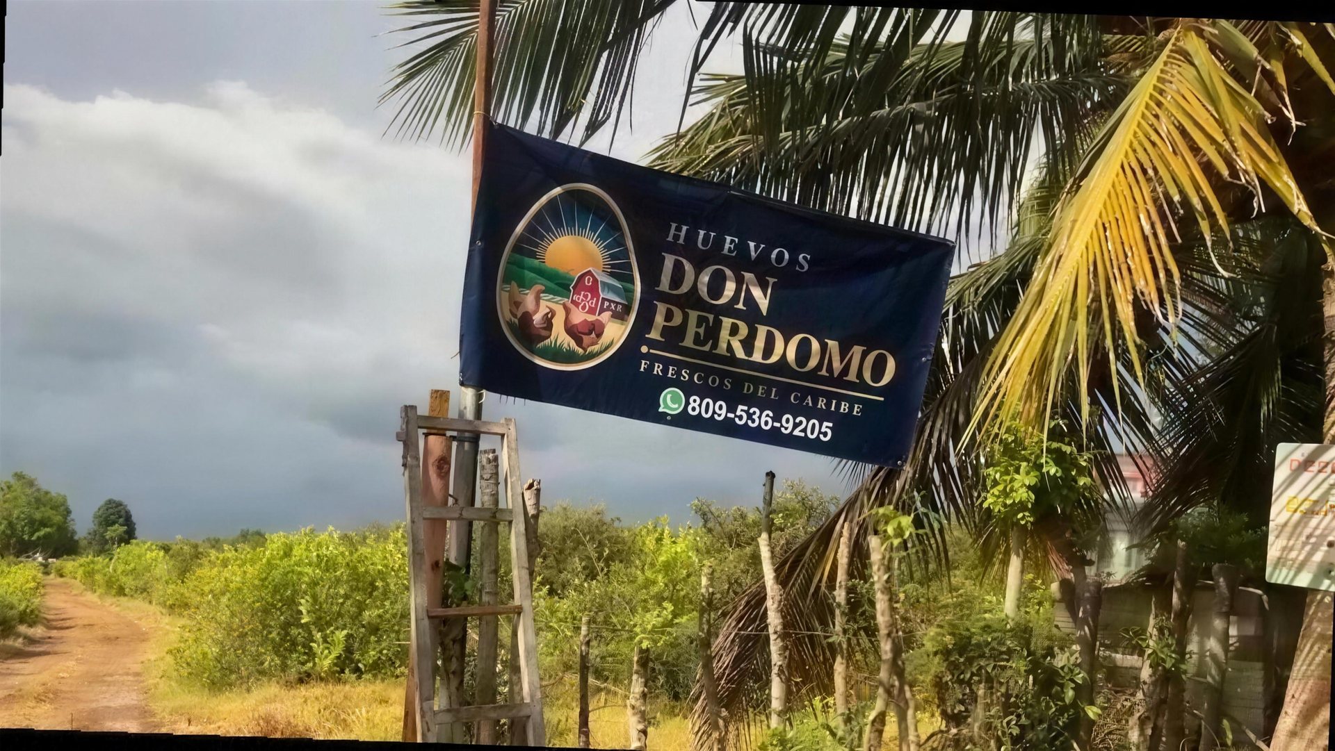 Banner de Huevos Don Perdomo en la entrada de la finca, campo dominicano